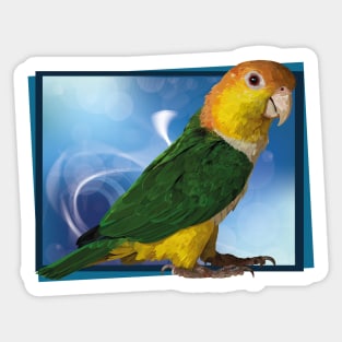 caique Sticker